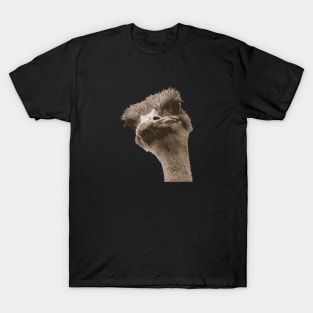 Ugly Faced Ostrich Vector Cut Out T-Shirt